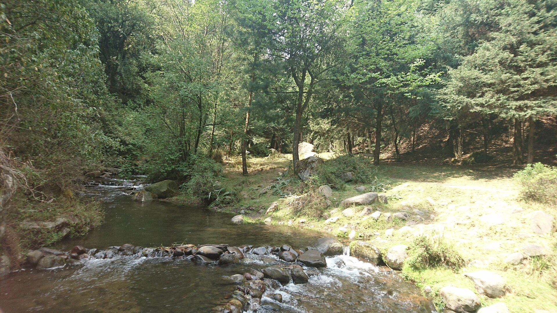 Los Dinamos trail