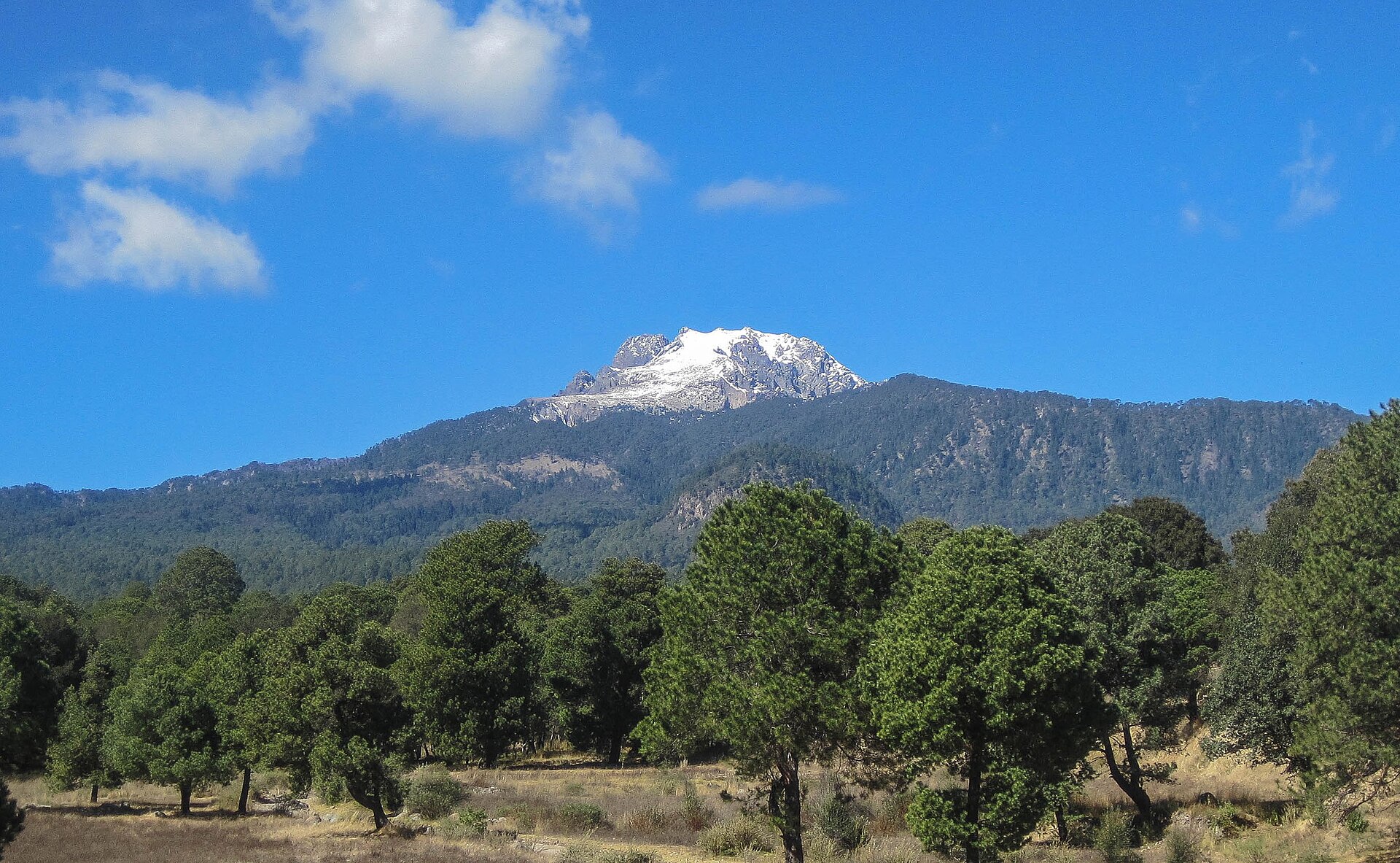 La Malinche, forest to summit